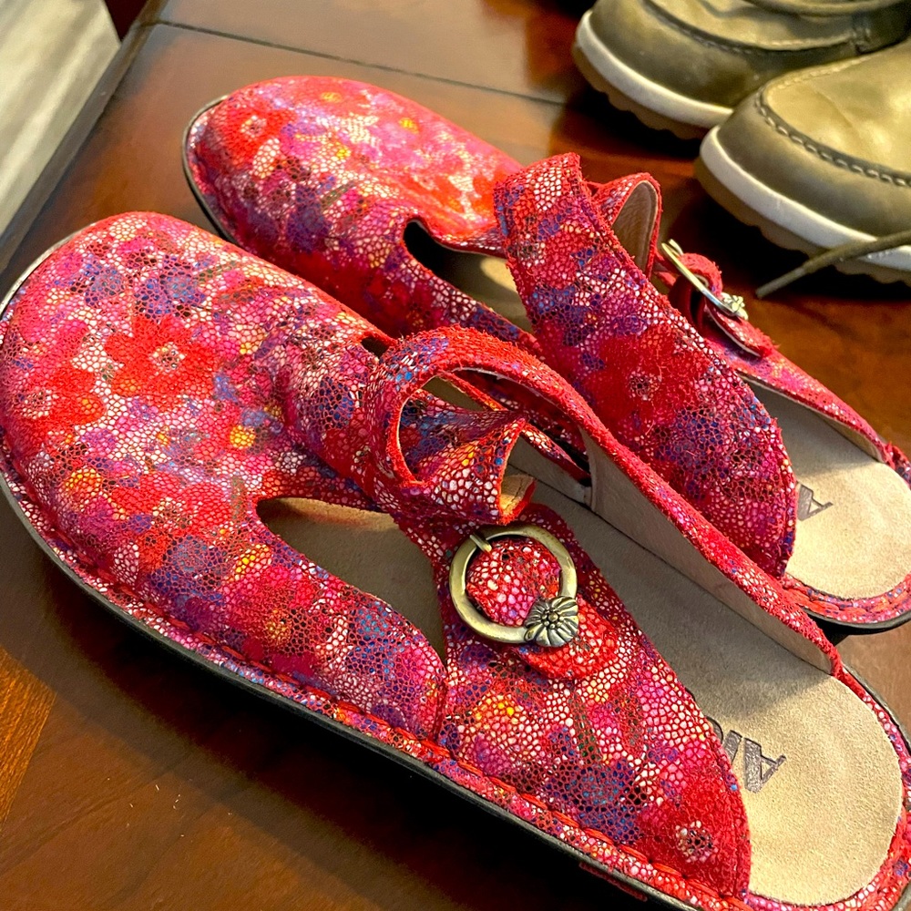 Alegria Clogs